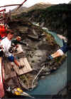 bungy.jpg (139817 bytes)
