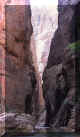 zion2.jpg (78823 bytes)